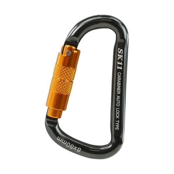 SK11 �I�[�g���b�N�J���r�i SALC-880 �u���b�N ( 1�� )/ SK11