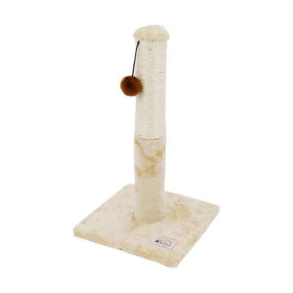 ˂ ˂D܂Ƃ Lbg^[ |[ ( 1 )