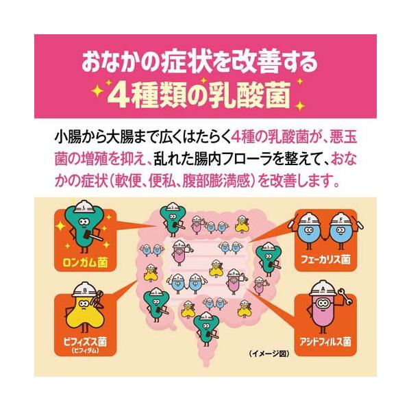 soukai_4987306054967_4_d_20250729092738