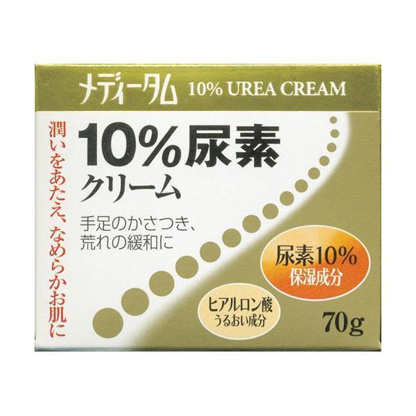 fB[^10AfN[ ( 70g )/ fB[^