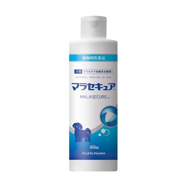 ypizp }ZLA ( 250ml )/ tW^