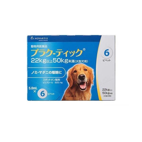 ypiz vN-eBbN 22`50kg ( 5.0ml*6{ )/ GR