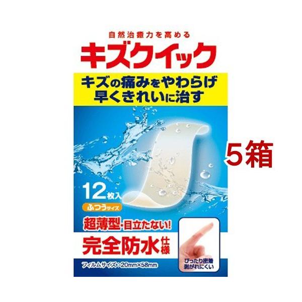 LYNCbN ӂTCY ( 12*5Zbg )