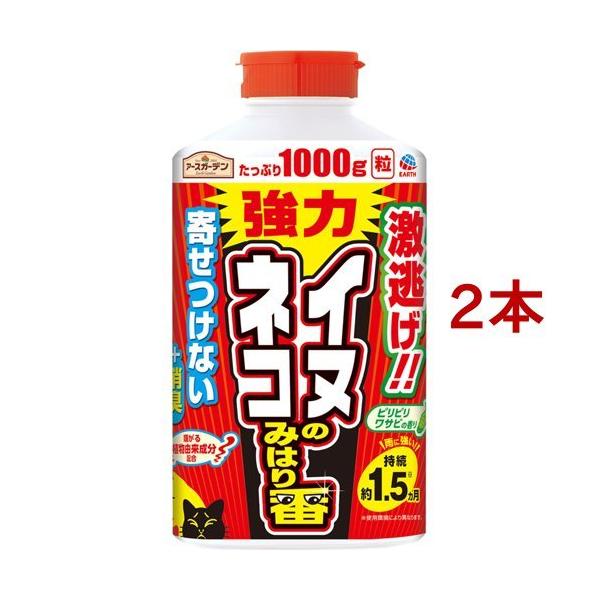 A[XK[f CklR悯 CkElR݂̂͂ ( 1000g*2{Zbg )/ A[XK[f