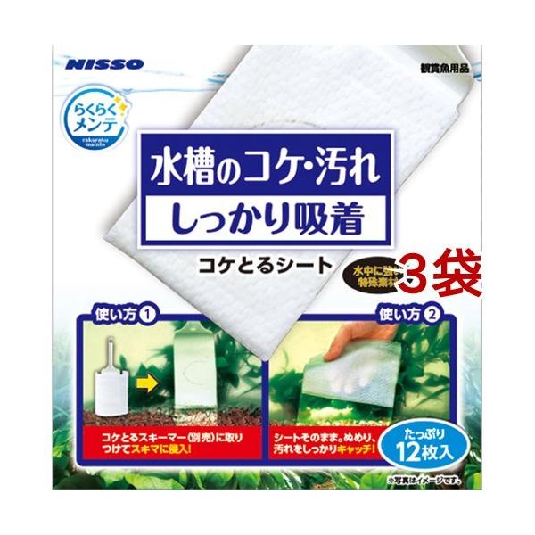 jb\[ 炭炭e RPƂV[g ( 12*3܃Zbg )/ NISSO(jb\[)