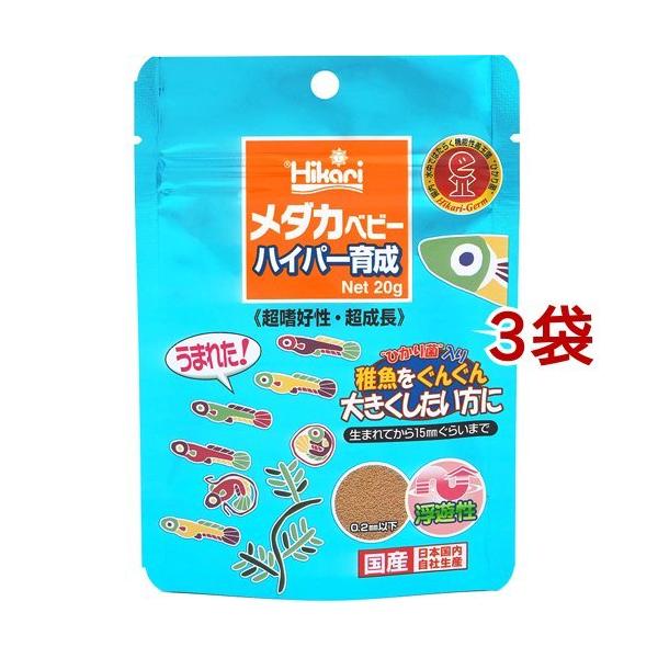 Ђ _Jxr[ nCp[琬 ( 20g*3܃Zbg )/ Ђ