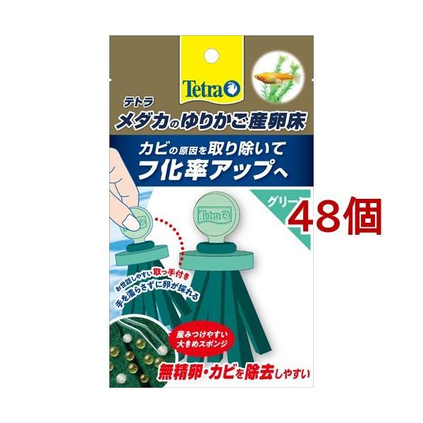 eg _Ĵ肩Y O[ ( 48Zbg )/ Tetra(eg)