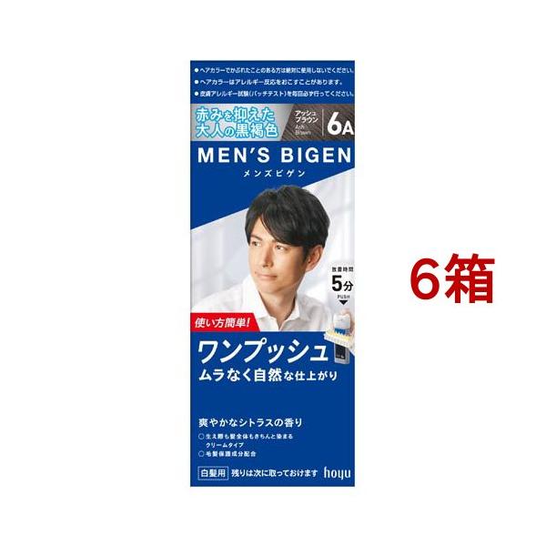 メンズビゲン ワンプッシュ アッシュブラウン 6A ( 6箱セット