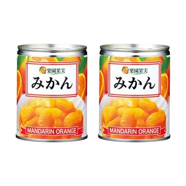 楽園果実 みかん EO M3号缶 ( 350g*2缶セット )/ 缶詰 フルーツ