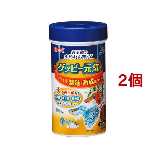 Obs[C voCIɐBE琬pt[h ( 52g*2RZbg )/ GEX(WFbNX)