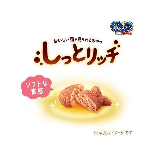 soukai_531685_2_d_20241024095000