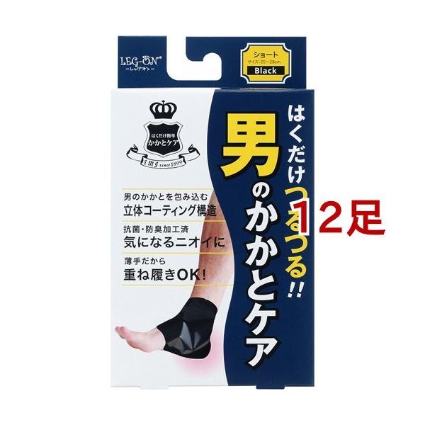 bOI ͂ȒP ĵƃPA V[g ubN ( 12Zbg )/ bOI