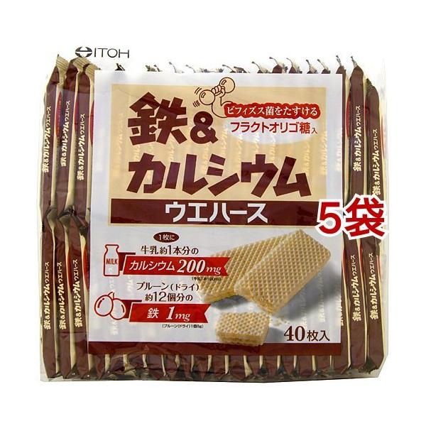 SJVEEGn[X ( 40*5܃Zbg )