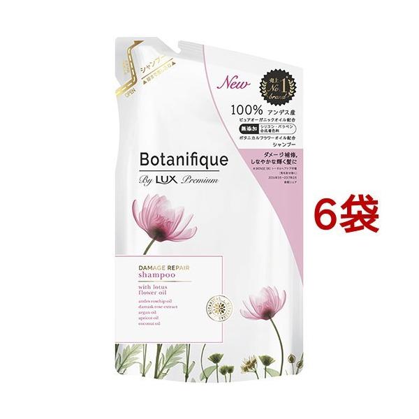 (~10/31 23:59 320OFFN[|)bNX v~A {^jtB[N _[WyA Vv[ ߂p ( 350g*6܃Zbg )