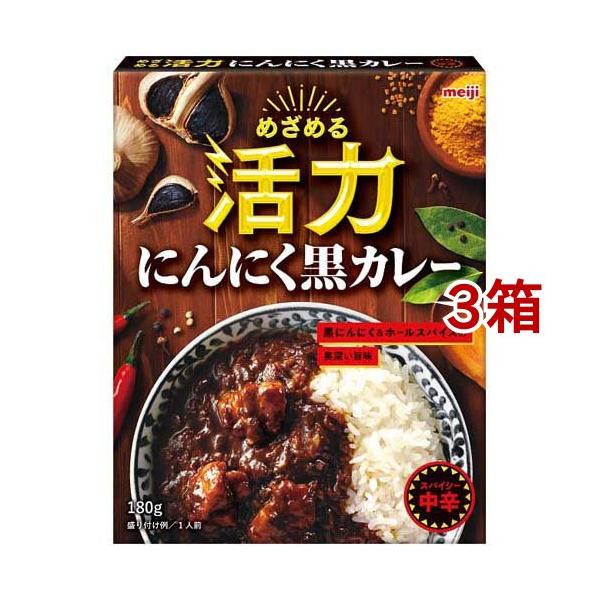 黒カレー マサラ黒カレー 200G 30食入: ソース・ドレッシング KANTO EXPRESS