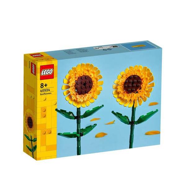 soukai_5702017165646