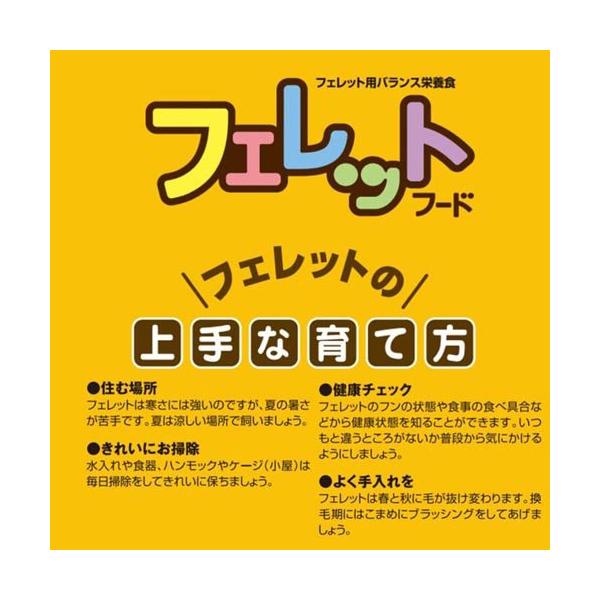 soukai_589385_4_d_20241218145913