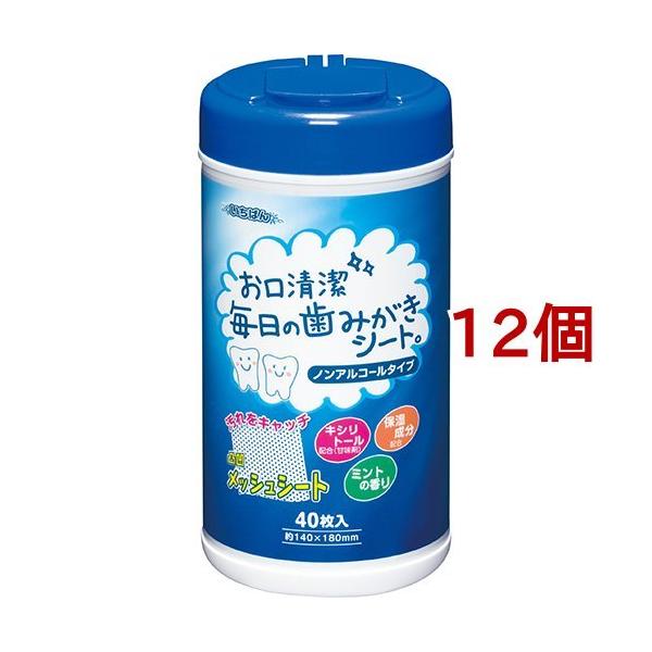 GA ΂񖈓݂̎V[gB ( 40*12Zbg )/ GA