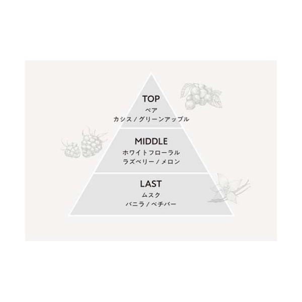 soukai_633858_5_d_20260217140723