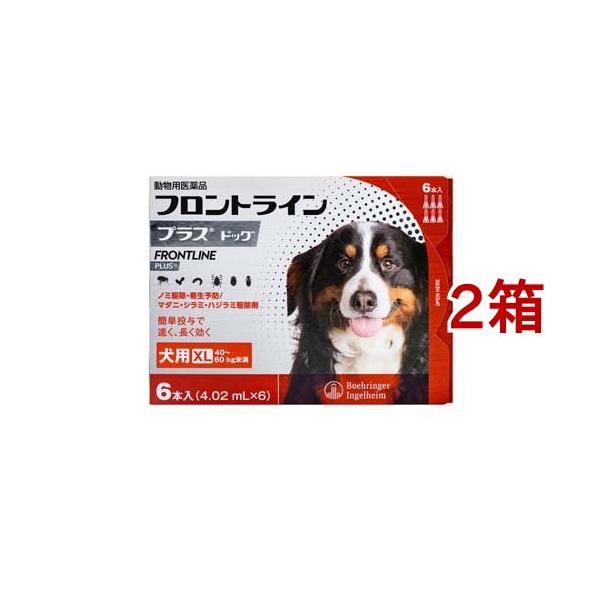 【動物用医薬品】フロントラインプラス 犬用 XL 40〜60kg未満(フロントライン フロントラインプラス frontline fronline ノミ のみ ダニ だに のみ取り ノミ取り のみとり ノミ捕り マダニ 犬 イヌ いぬ ドッグ...