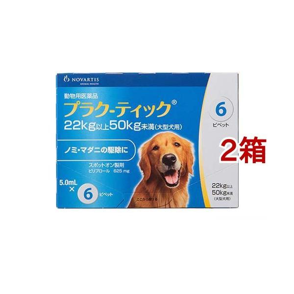 ypiz vN-eBbN 22`50kg ( 5.0ml*6{*2Zbg )/ GR