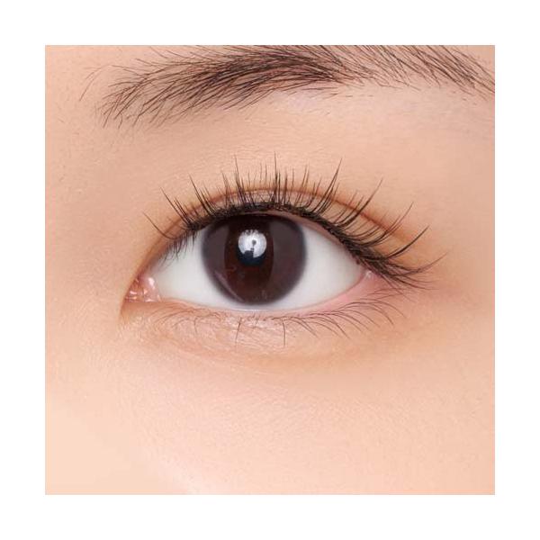 soukai_6973761139729_3_d_20260107090813