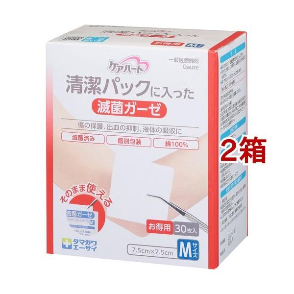 PAn[g pbNɓŋۃK[[ MTCY ( 30*2Zbg )/ PAn[g