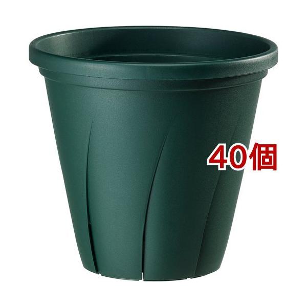 ͂蔫 10 _[NO[ ( 9.6L*40Zbg )/ avX`bN