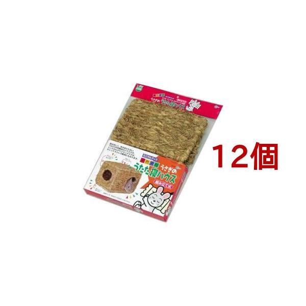 }J ̂QnEX MR-409 ( 12Zbg )