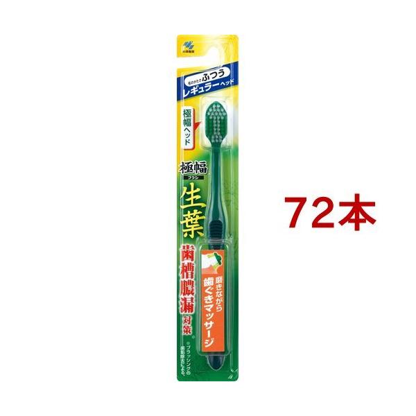 t ɕuV M[ ӂ ( 72{Zbg )/ t