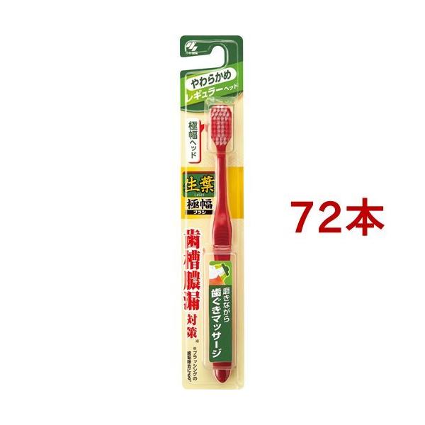 t ɕuV M[ 炩 ( 72{Zbg )/ t