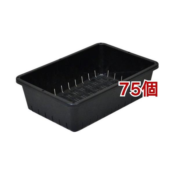 cRei[ 6^ ubN ( 75Zbg )