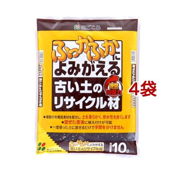 ÂỹTCN ( 10L*4܃Zbg )