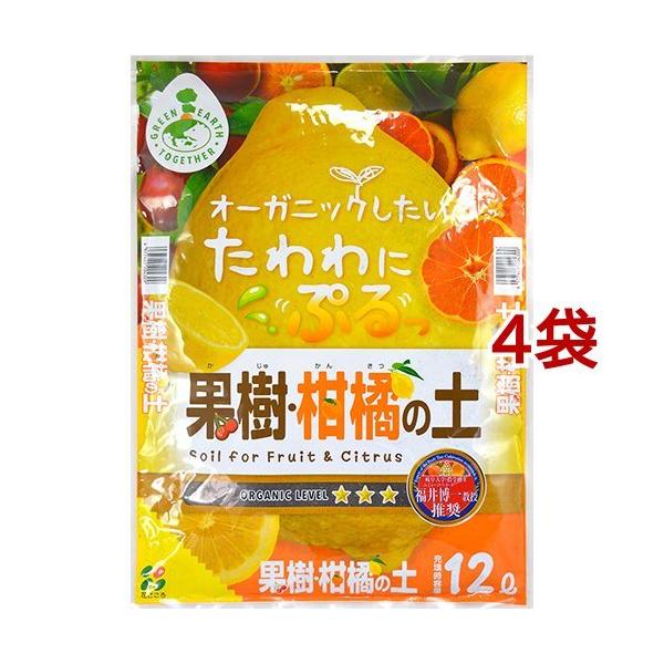 ʎEk̓y ( 12L*4܃Zbg )