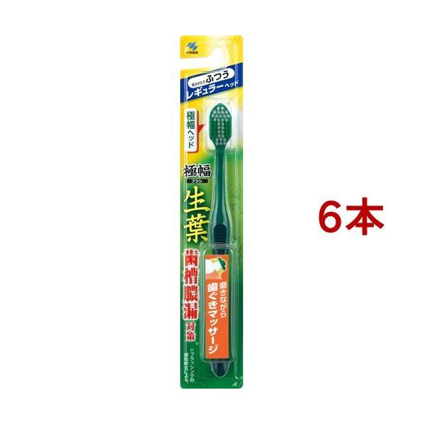 t ɕuV M[ ӂ ( 6{Zbg )/ t