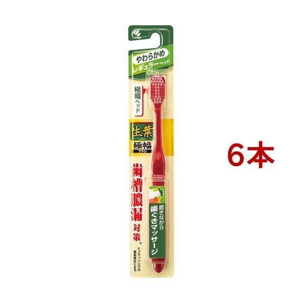 t ɕuV M[ 炩 ( 6{Zbg )/ t