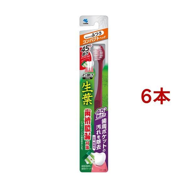 t 45xuV RpNg ӂ ( 6{Zbg )/ t ( uV |Pbg̉ ^R΍ )