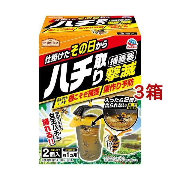 A[XK[f n`茂 ߊl^Cv ( 2*3Zbg )/ A[XK[f