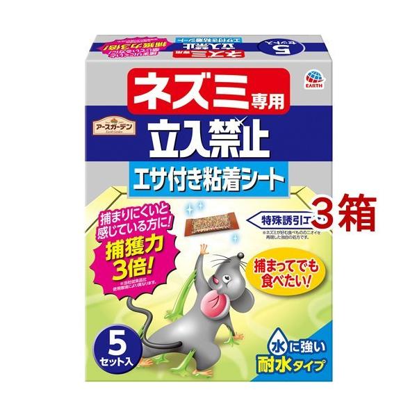 A[XK[f lY~p֎~ GTtSV[g ( 5Zbg*3Zbg )/ A[XK[f