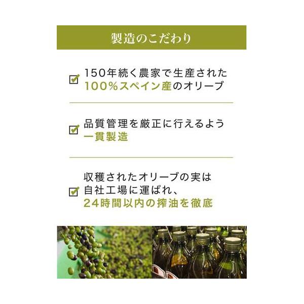 soukai_8437000488729_2_d_20260410181505