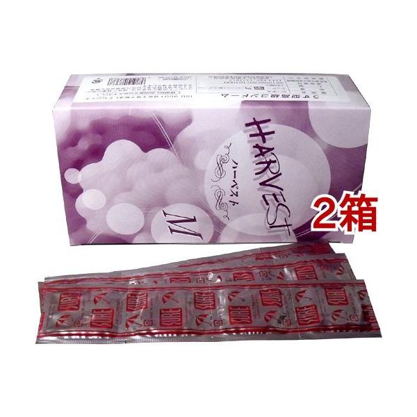 Rh[ Ɩp n[xXg VA[ M ( 144*2Zbg )