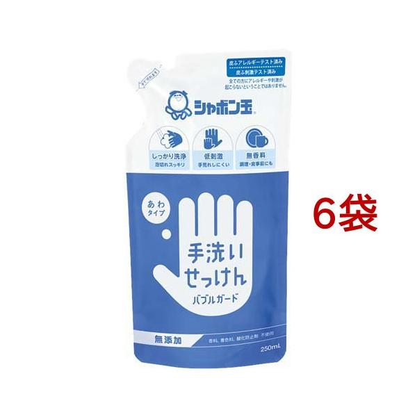 手洗いせっけんバブルガード 詰替用 ( 250ml*6袋セット ) : 爽快