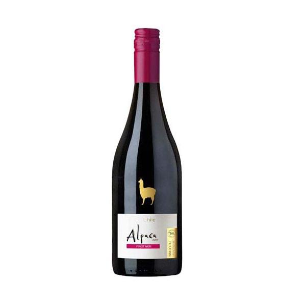 サンタ・ヘレナ アルパカ ピノ・ノワール ( 750ml )/ アルパカ ( アサヒビール/ワイン/アルパカ )