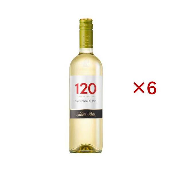 サンタリタ シェイントペインテ120 ソーヴィニヨンブラン ( 750ml×6セット )