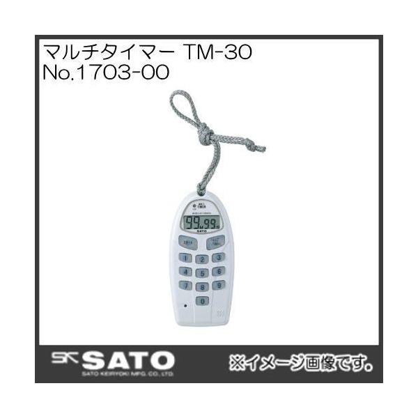 }`^C}[(9999b) TM-30 No.1703-00 SATO vʊ