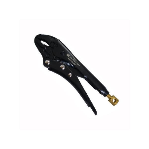 ���b�L���O�v���C�� (����) 400-125-BG �t�W�� FUJIYA KUROKIN