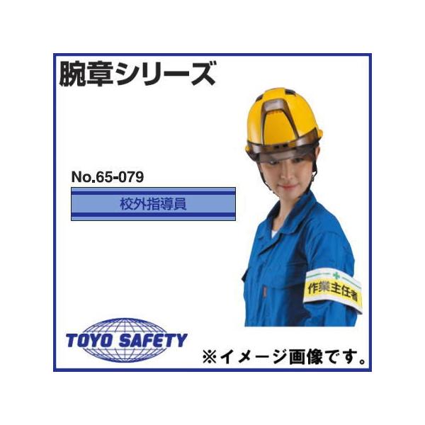 VČ^r uZOwv No.65-079 g[[ZteB