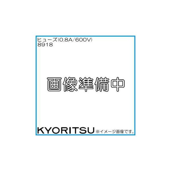 dC Z~bNq[Y(0.8A/600V)1{ 8918 KYORITSU