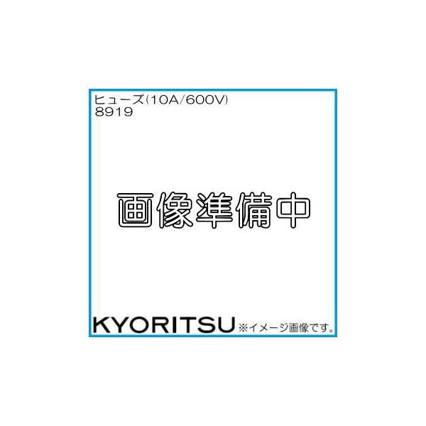 dC Z~bNq[Y(10A/600V)1{ 8919 KYORITSU