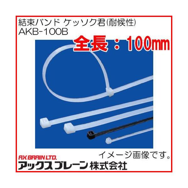 �����o���h �P�b�\�N�N �ό� �u���b�N AKB-100B 100�{ �A�b�N�X�u���[��